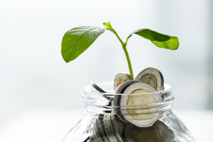 plant growing out of a coin jar 