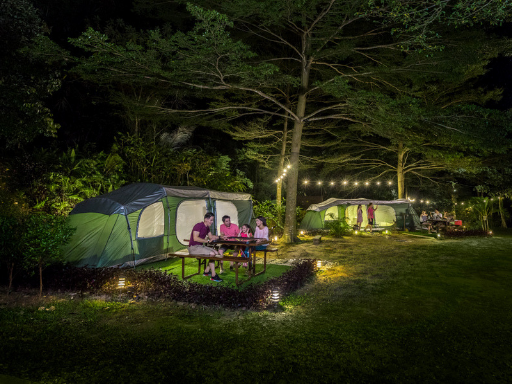 Family playing board games in the forest