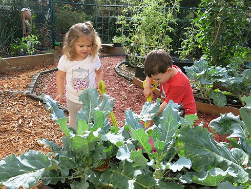 Kids gardening at the garden